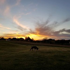 Meet your Posher, Kyle